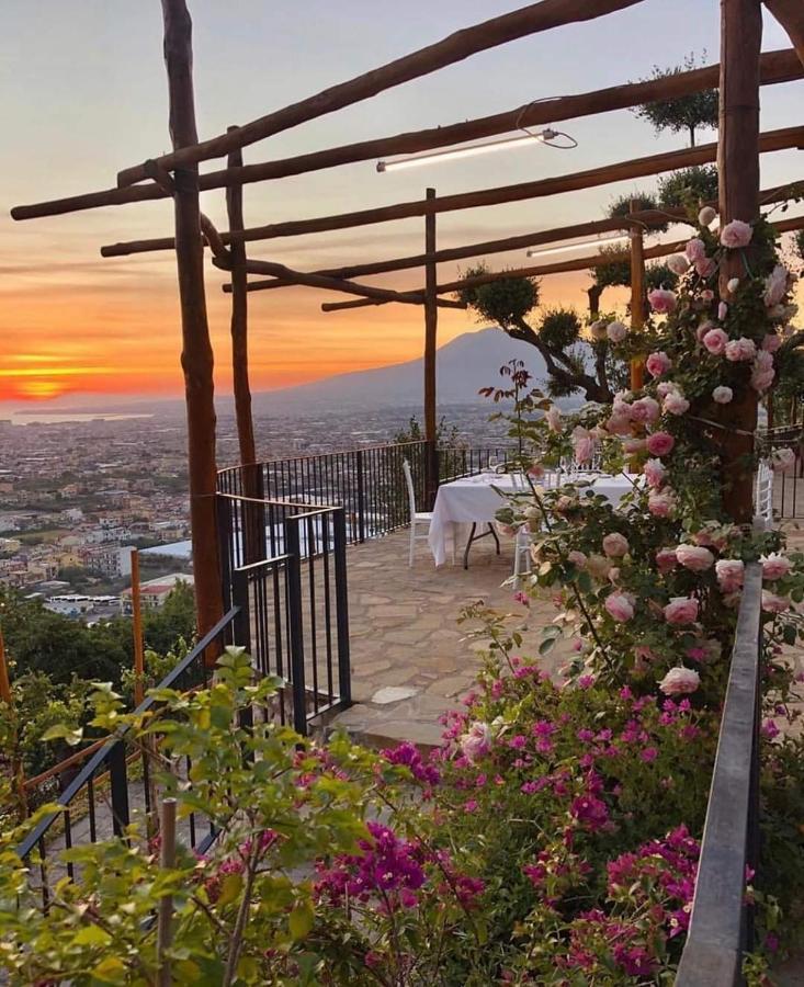 סנט'אנטוניו אבאטה Villa Palmentiello מראה חיצוני תמונה
